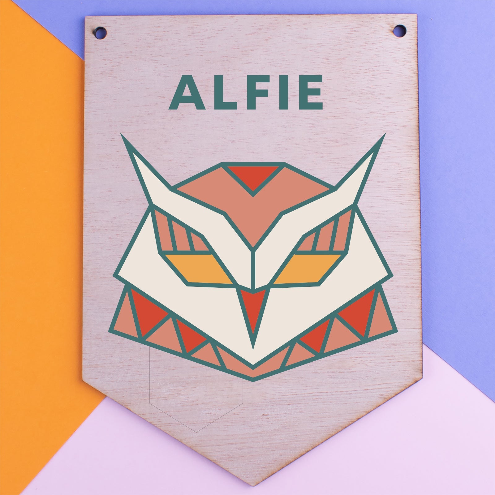 Personalised Wooden Door Sign - Owl