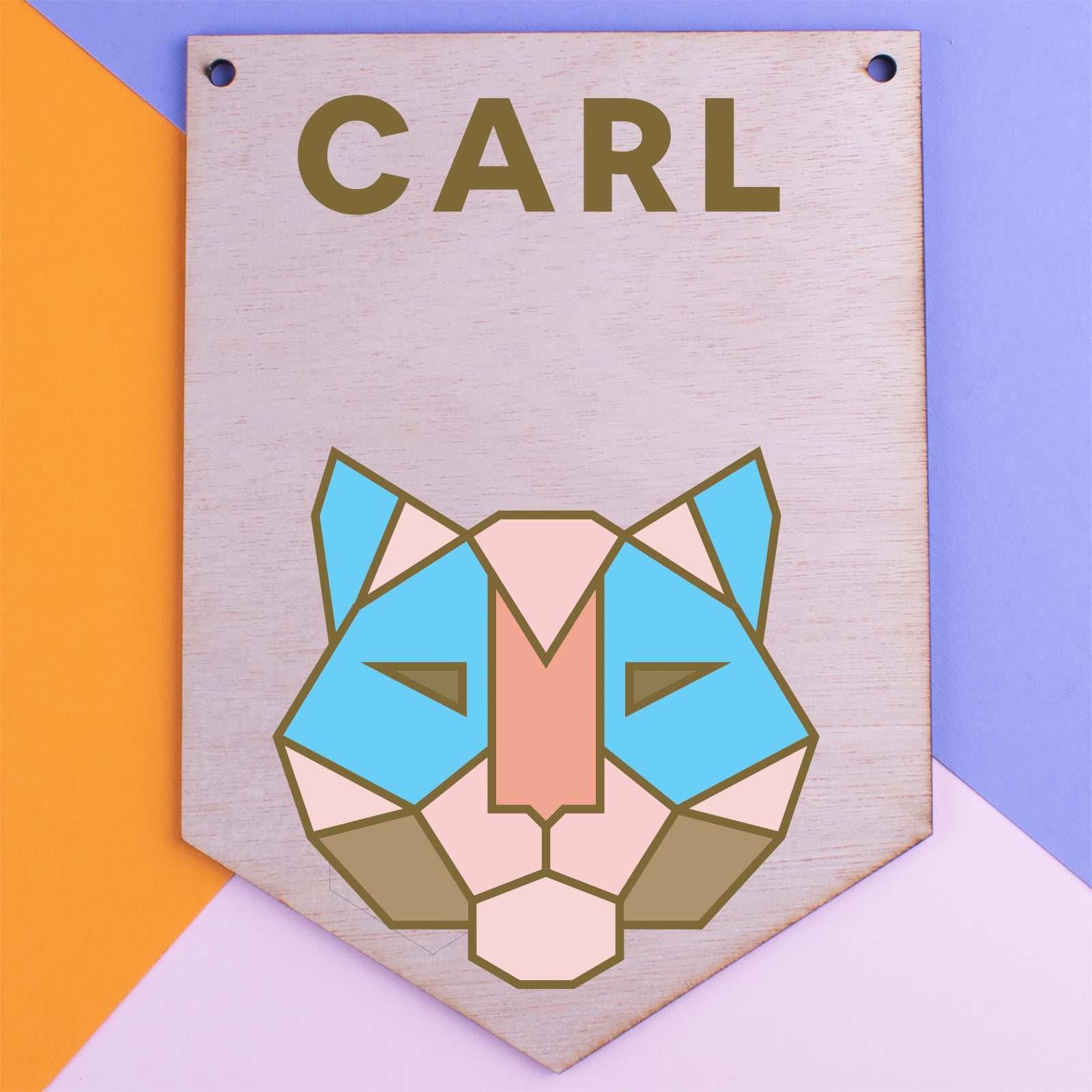 Personalised Wooden Door Sign - Cat