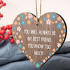 Best Friend You Know Too Much Novelty Wooden Hanging Plaque Friendship Sign Gift