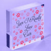 Funny Cat Sign For Home Acrylic Block Friendship Gift Pet Lover Plaque Keepsake