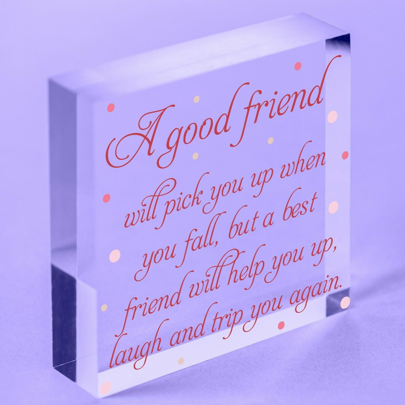 Best Friend Message Gag Gift Hanging Acrylic Block Sign Funny Message