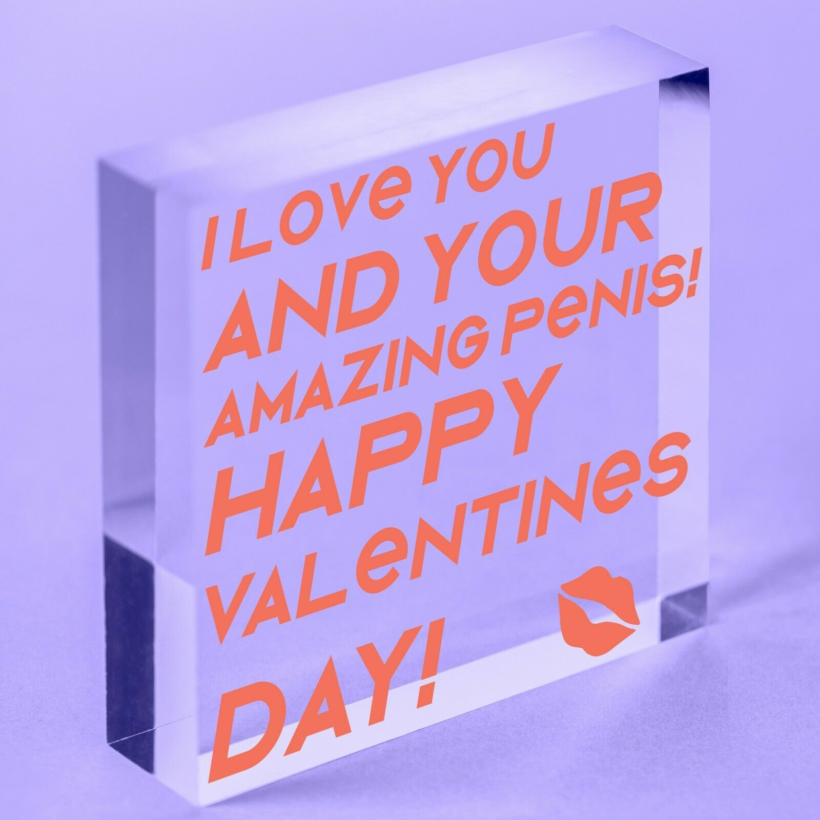 Funny Anniversary Gift For Your Boyfriend Husband Funny Valentines Acrylic Block