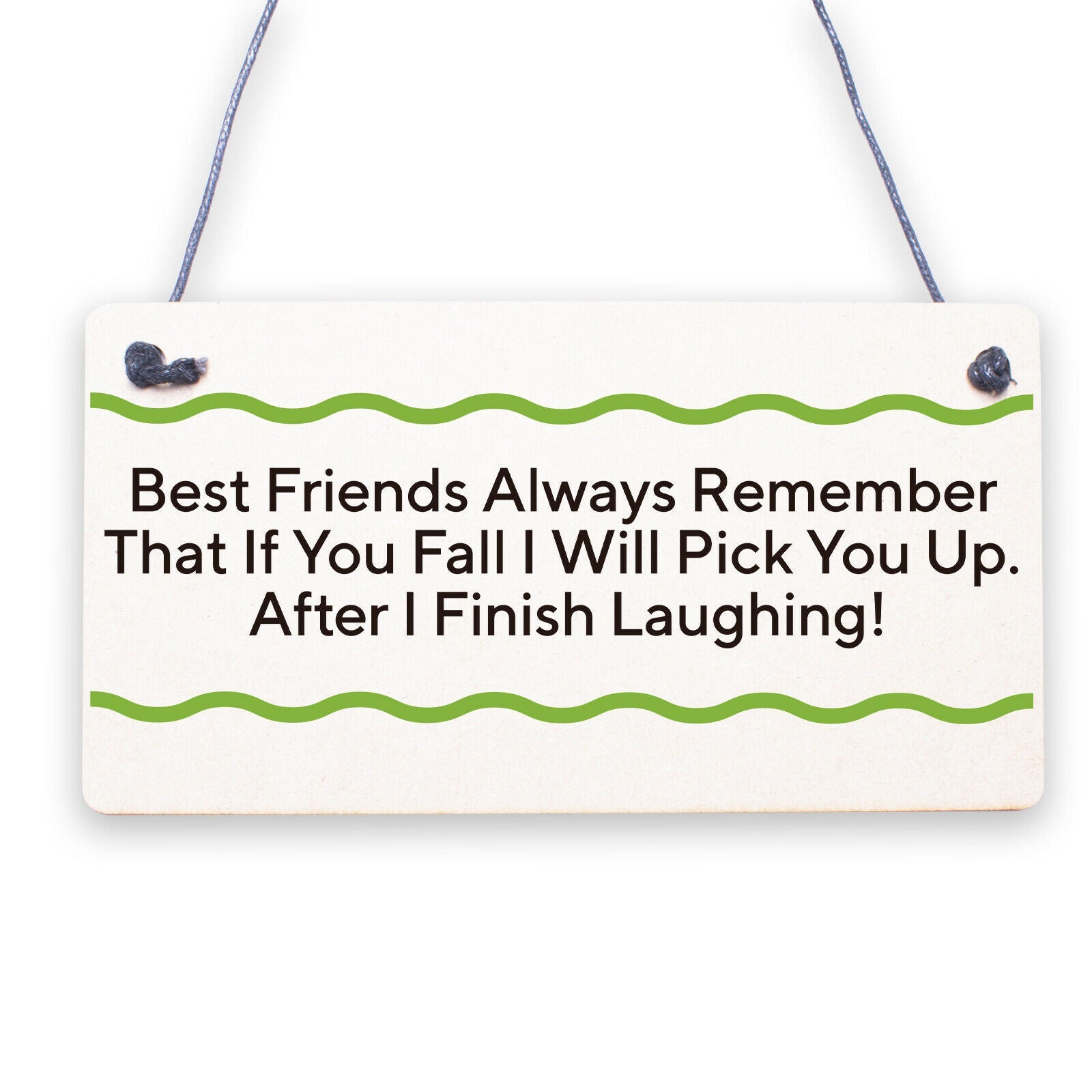 BEST FRIEND - I Will Pick You Up After I Finish Laughing! Friendship Gift Plaque