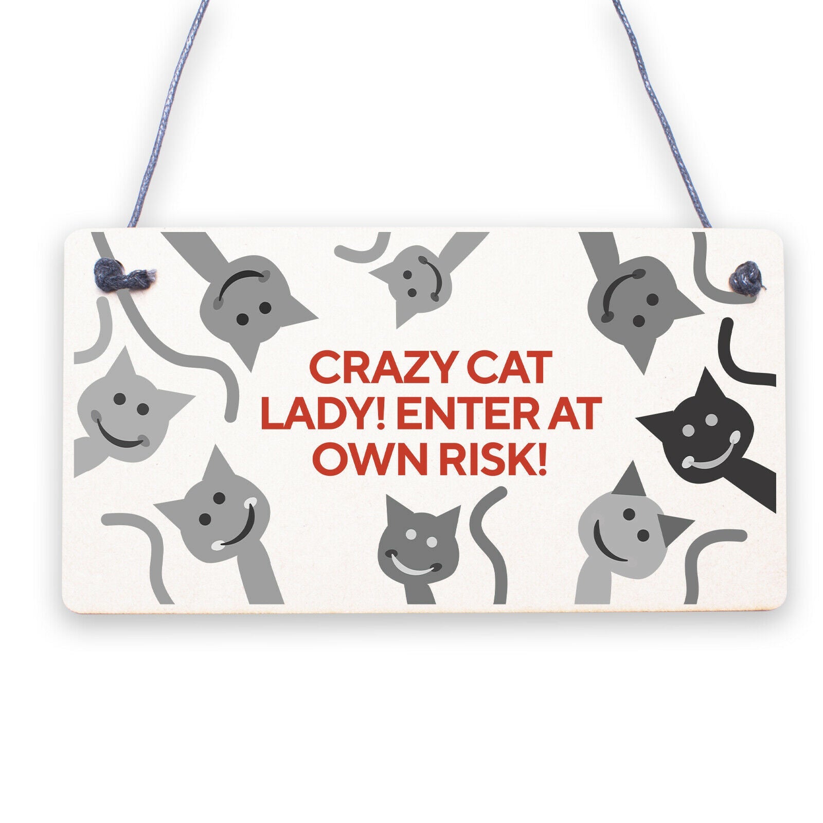 CRAZY CAT LADY Cute Funny Gift Idea Animal Lover Hanging Plaque Home Door Sign