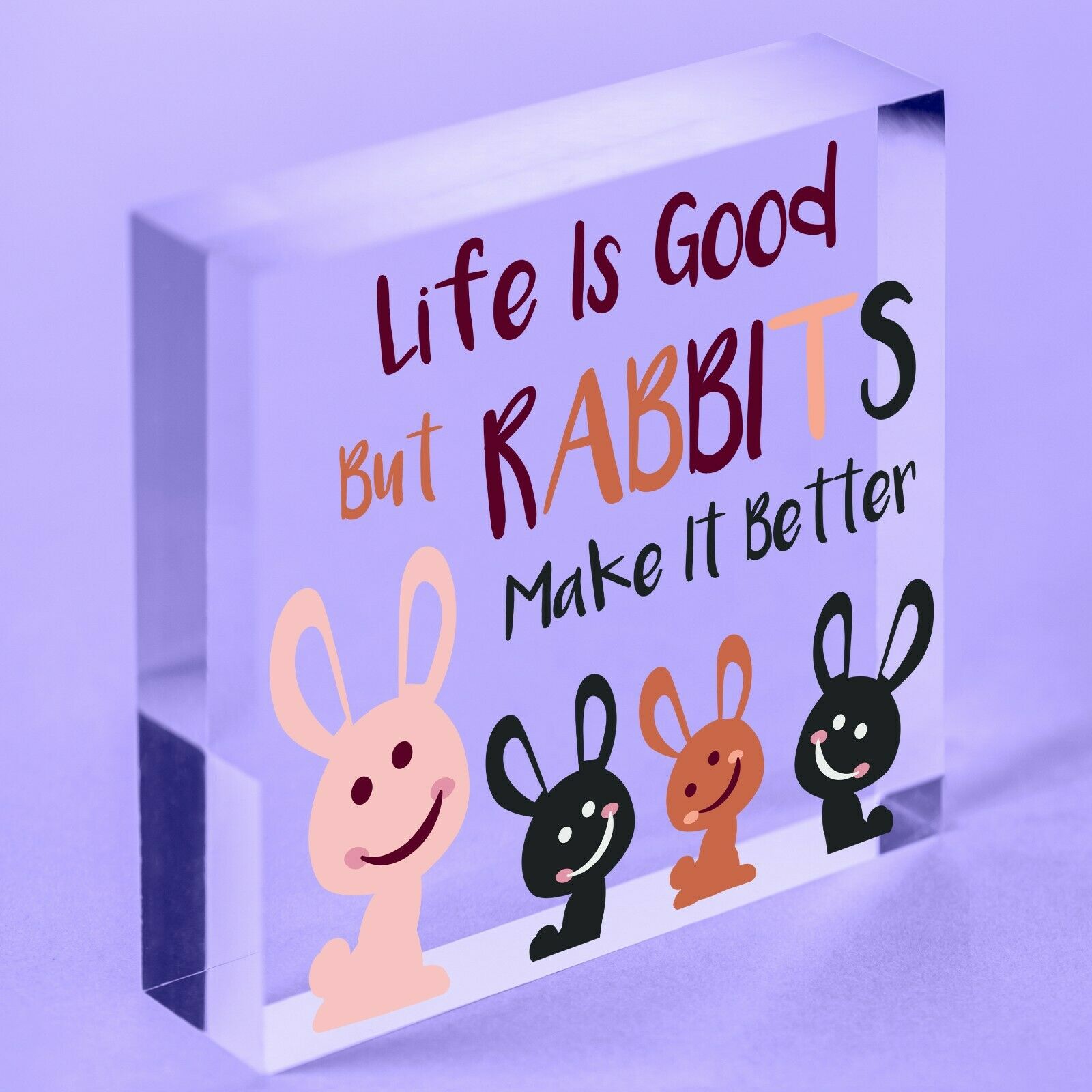 Rabbits Make Life Better Acrylic Heart Plaque Pet Rabbit Hutch Sign Decor