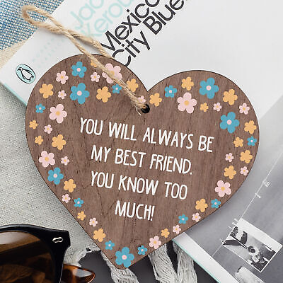 Best Friend You Know Too Much Novelty Wooden Hanging Plaque Friendship Sign Gift