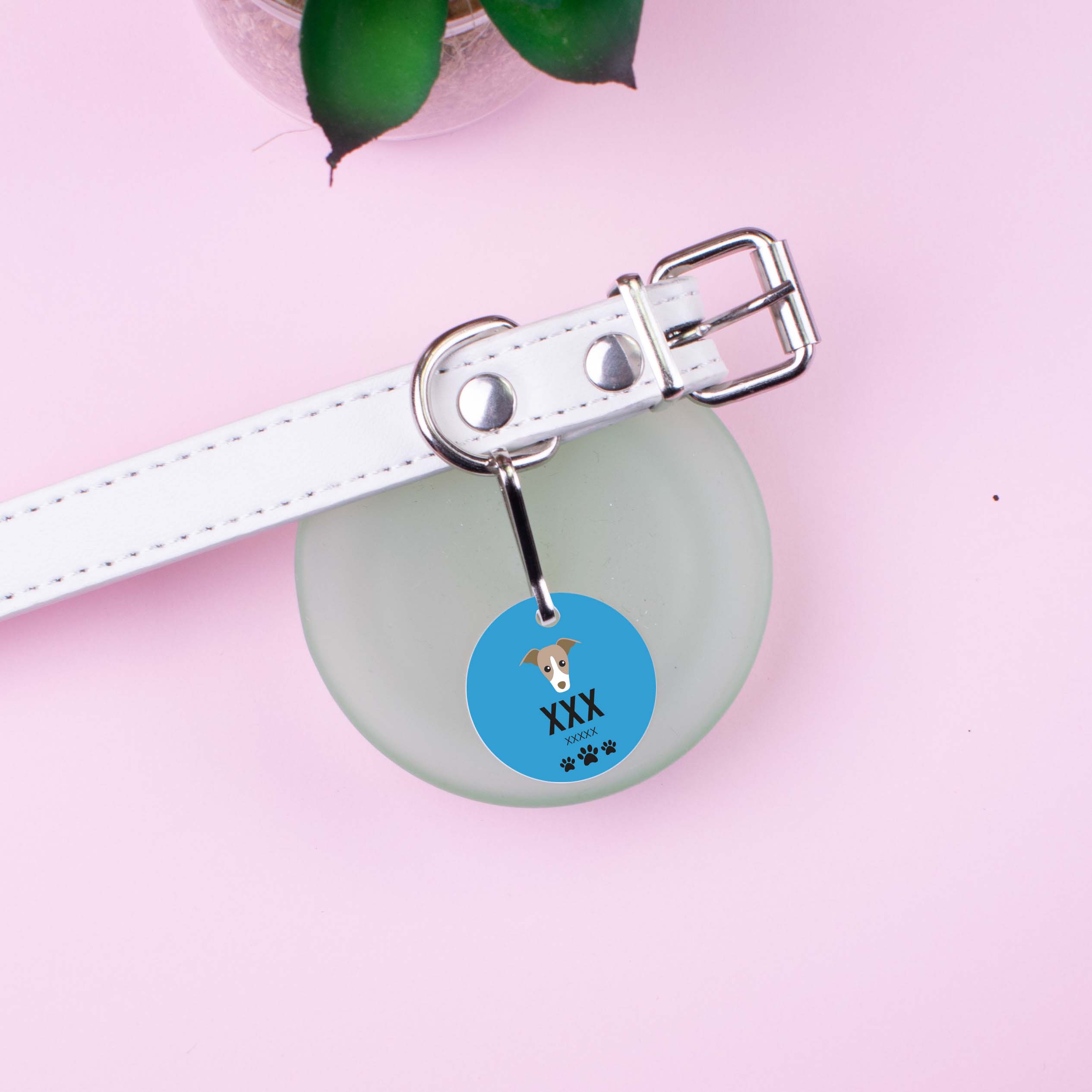 Personalised Pet Tag - Blue