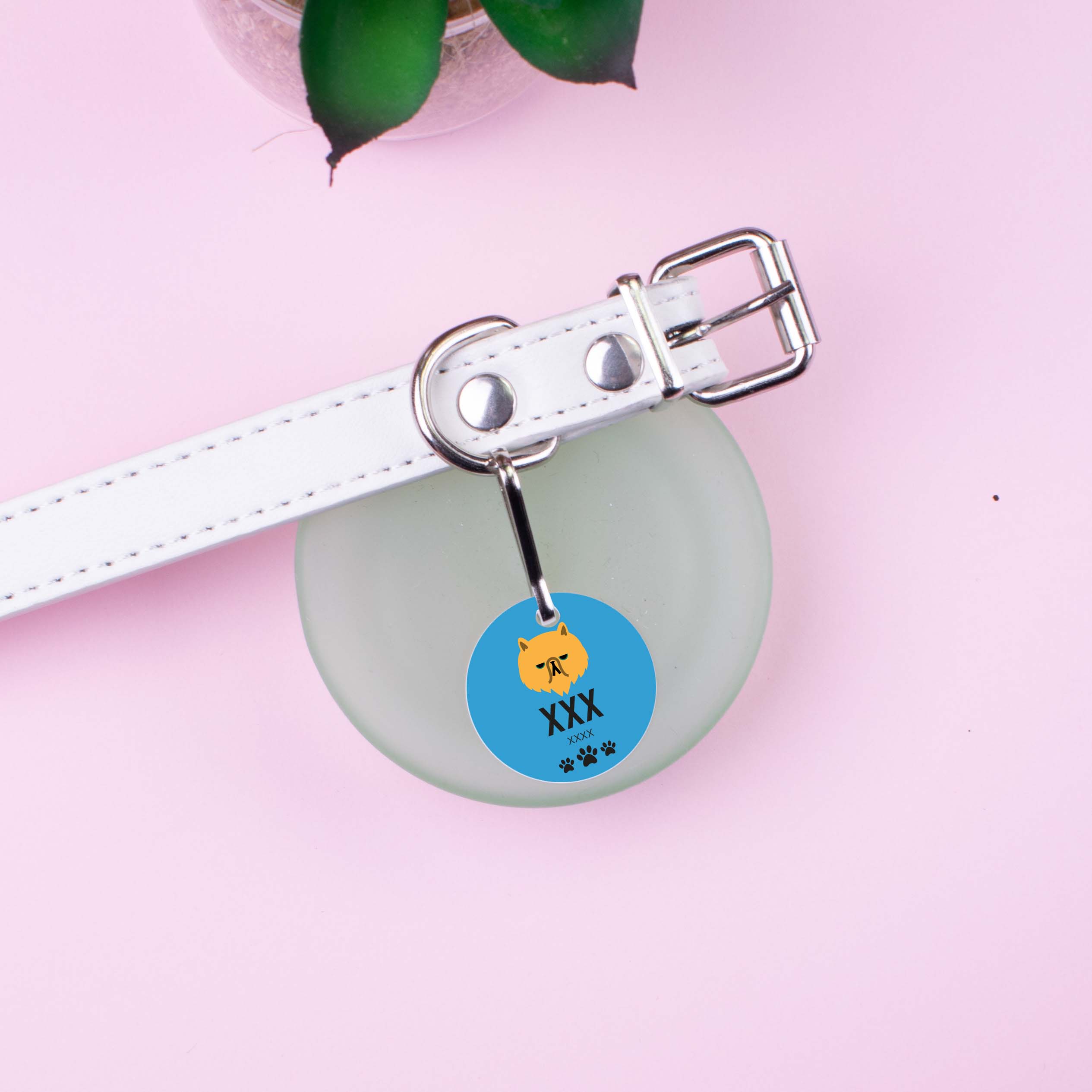 Personalised Pet Tag - Blue Cat