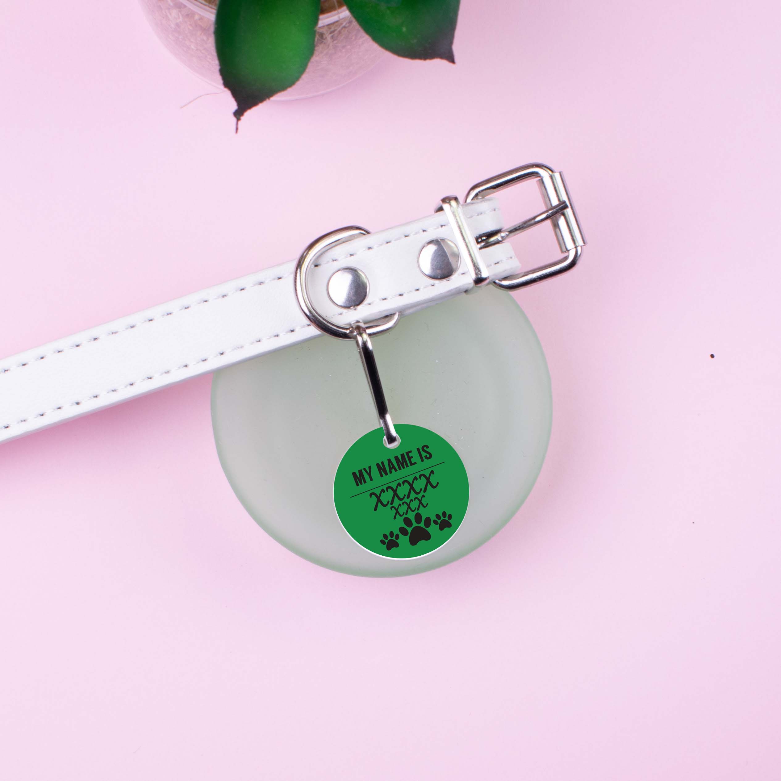 Personalised Pet Tag - Paws - Green